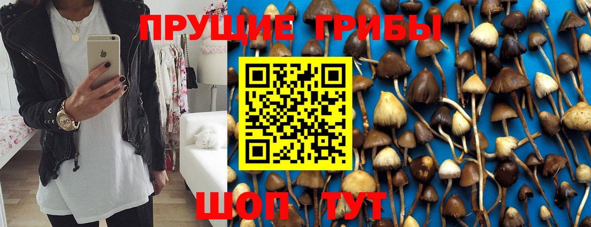 Галлюциногенные грибы Psilocybine cubensis Прокопьевск