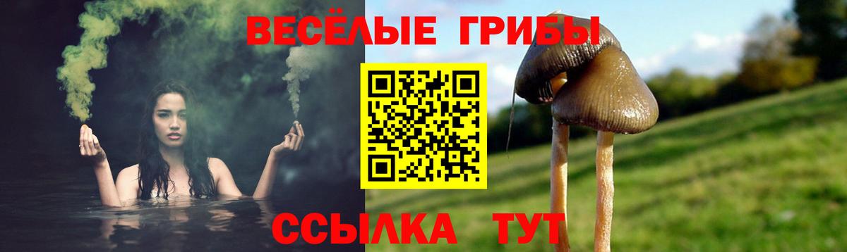 Прокопьевск  Галлюциногенные грибы мицелий  Галлюциногенные грибы мицелий  Вход с VPN 